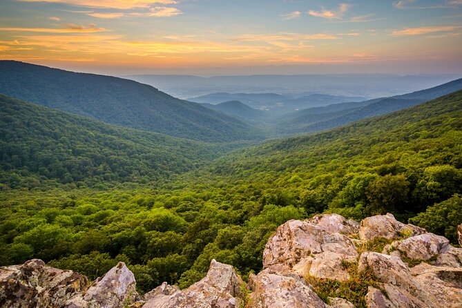 Shenandoah National Park Self-Guided Driving Audio Tour - Road Trip Flow: Fort Royal to Rockfish Gap in 4 to 5 Hours
