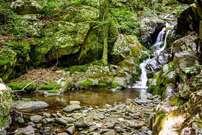 Shenandoah National Park Self-Guided Driving Audio Tour - Trail Options That Fit Different Energy Levels (and Dog-Friendly Choices)