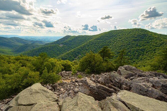Shenandoah National Park Self-Guided Driving Audio Tour - Getting More Out of the Drive: Practical Tips That Actually Matter