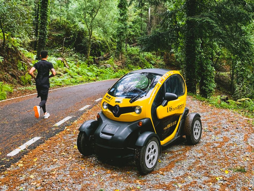 Sintra: 4 MAJOR Monuments Tour E-Car com GPS Audio Guide - Monserrate Palace and Park: The Micro-Climate Advantage