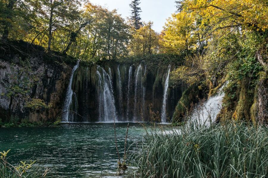 Split: Self-Guided Plitvice Lakes Day Tour with Boat Ride - The Electric Woodland Train: A Forest Break Without Losing the Views