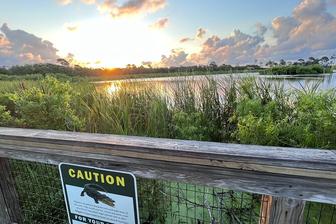 State Park E-Bike Tour: Alligators, Pier, & More [SELF-GUIDED] - Why this self-guided e-bike ride works so well in Panama City Beach
