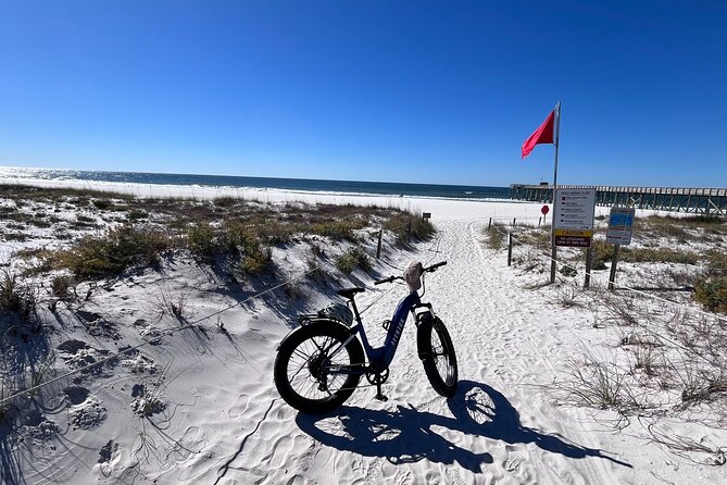 State Park E-Bike Tour: Alligators, Pier, & More [SELF-GUIDED] - Panama City Beach stop: beach access breaks and local white-sand context