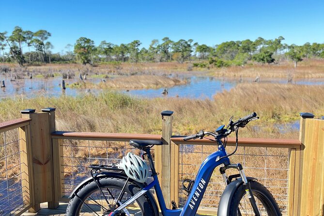 State Park E-Bike Tour: Alligators, Pier, & More [SELF-GUIDED] - App-based navigation and audio tips: how to make it effortless