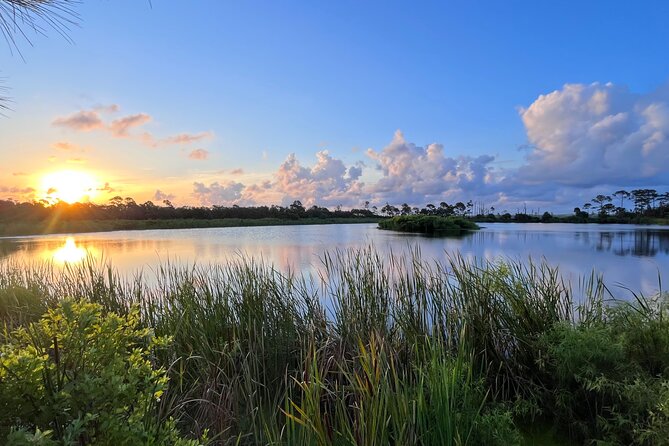 State Park E-Bike Tour: Alligators, Pier, & More [SELF-GUIDED] - Price and what you actually get for $67