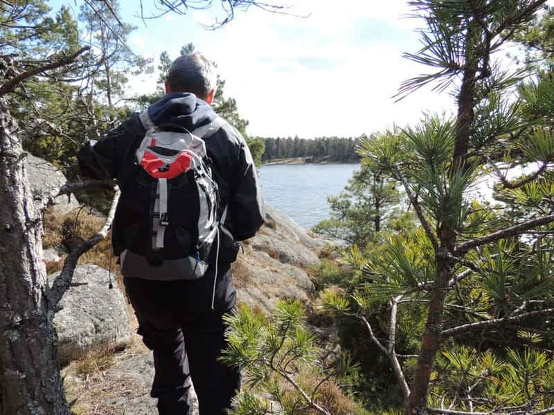 Stockholm: Self-Guided hiking in beautiful nature - Why a self-guided nature hike around Stockholm feels like a reset