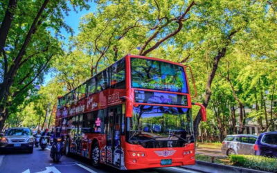 Taipei: Hop-On Hop-Off Sightseeing Bus with Audio Guide - Price and value: why $10 can still make sense