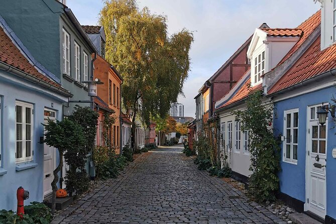 The Ancient Viking Stronghold of Aros: A Self-Guided Audio Tour in Aarhus - Entering Aarhus at DOKK1: Getting the Tour Running Smoothly