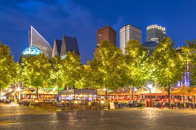 The Hague: City Walk Audio Guide in 7 Languages on your Phone - Mauritshuis: Golden Age Art in a Historic Building