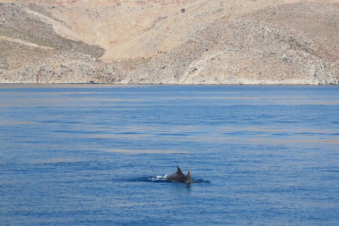 The Santa Maria 3 Island Cruise in the Aegean w/ Free Audio Guide - Three Islands From Kos: The Day-Trip Rhythm