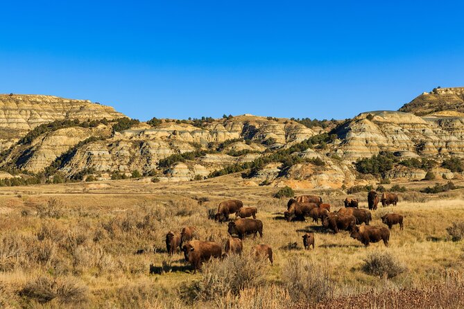 Theodore Roosevelt National Park Self-Guided Driving Audio Tour - Bentonitic Clay Overlook and Badlands Overlook: Science Meets the View