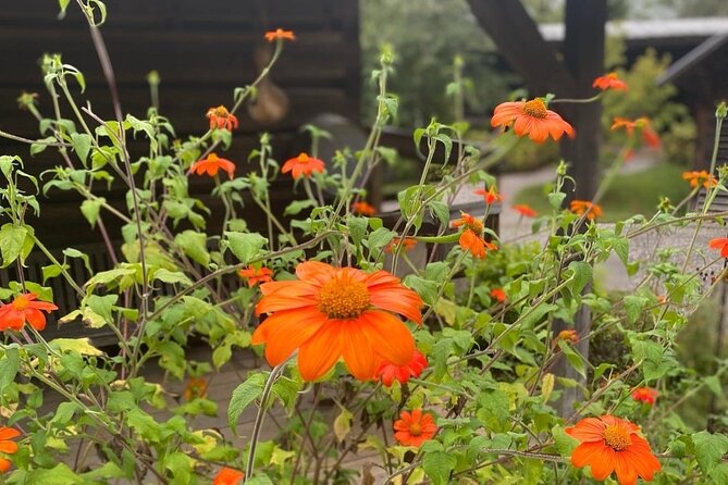 Ticket pass to the Great Smoky Mountains Heritage Center (Self-Guided Tour) - The Outdoor Circuit: Heirloom Gardens, Village Lanes, and Daily Life