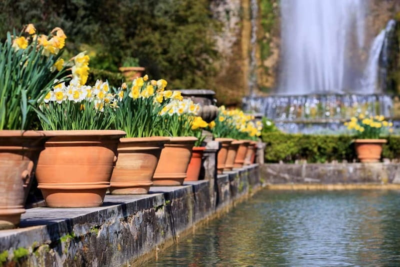 Tivoli: Villa D'Este Entry Ticket and App Audio Guide - Your self-paced walk: fountains, grottoes, and water lilies
