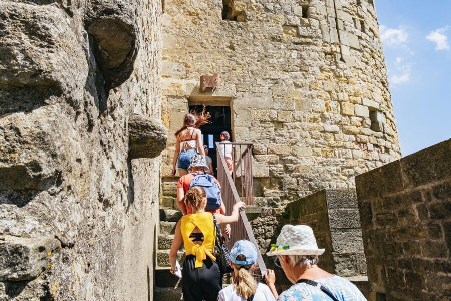 Toulouse: Carcassonne Day Trip by Coach with Audioguide - Who should book this day trip?