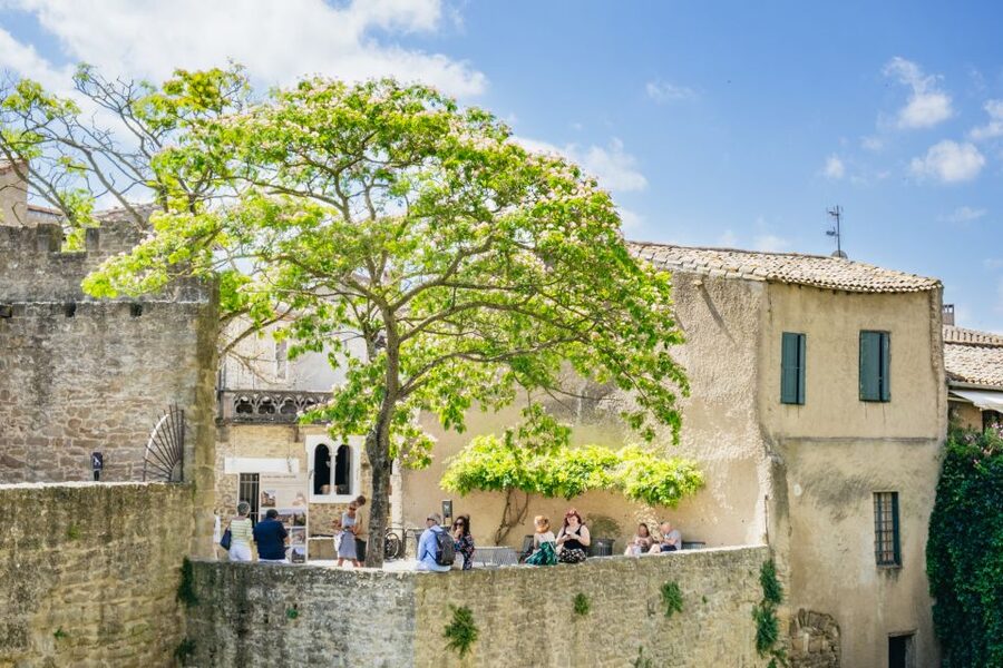 Toulouse: Carcassonne Day Trip by Coach with Audioguide - Audio guide in 3 languages: setup with Henri Trip and code 260011