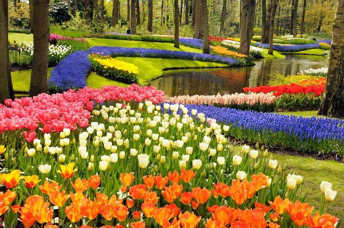 Tulip Fields near Keukenhof - Self-Drive Audio Tour for 2 People - Key Highlights to Know Before You Go