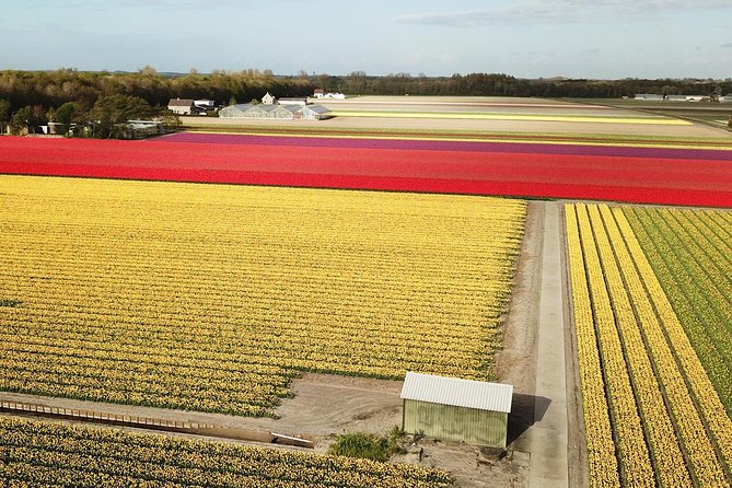 Tulip Fields near Keukenhof - Self-Drive Audio Tour for 2 People - Speed, Wind, and Real-World Comfort on Small Roads