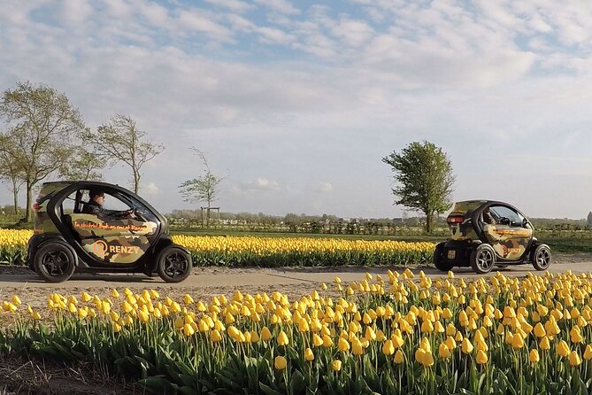 Tulip Fields near Keukenhof - Self-Drive Audio Tour for 2 People - Starting Point at Meer en Duin 44 and What Check-In Really Means