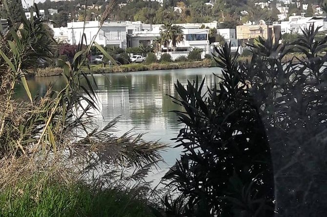 Tunis, Carthage and Sidi Bou Said Self-Guided Excursion from Hammamet - Stop 4: Carthage archaeological site—where the landmarks are spelled out