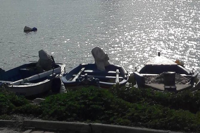 Tunis, Carthage and Sidi Bou Said Self-Guided Excursion from Hammamet - Stop 5: Café des Délices and Sidi Bou Said—mint tea plus artist streets