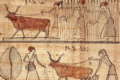 Turin Egyptian Museum Entry Ticket plus Turin Digital Audioguide - Timed entry slots: the small details that protect your afternoon