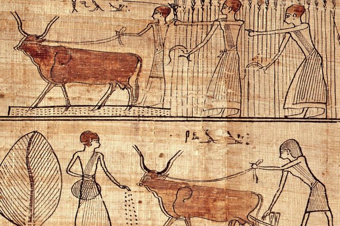 Turin Egyptian Museum Entry Ticket plus Turin Digital Audioguide - Timed entry slots: the small details that protect your afternoon