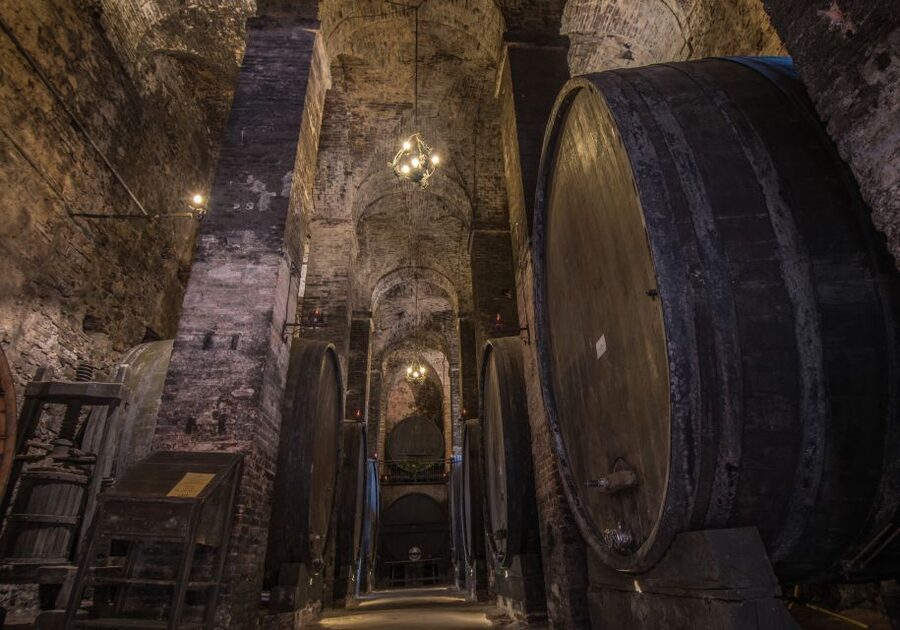Tuscany: Self-Guided Video Tour with World's Top Experts - Key highlights you should care about