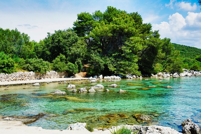 Ugljan Island Self-Guided Bike Tour - Riding Ugljan: forests, olive groves, hidden bays, and beaches