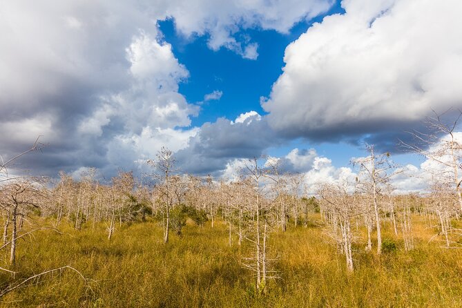 Ultimate Florida Self Guided Driving & Walking Audio Tour Bundle - Timing that works: planning an 8–10 hour day without stress