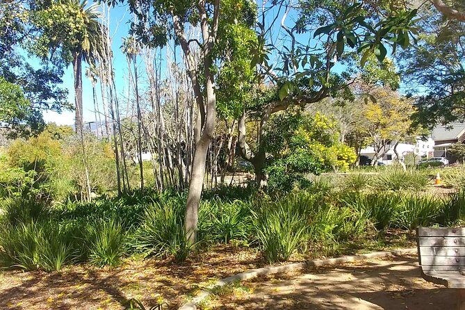 Ultimate Guide to Santa Barbara: A GPS Self-Guided Urban Stroll - Chumash Roots and the 1500s Spanish Arrival
