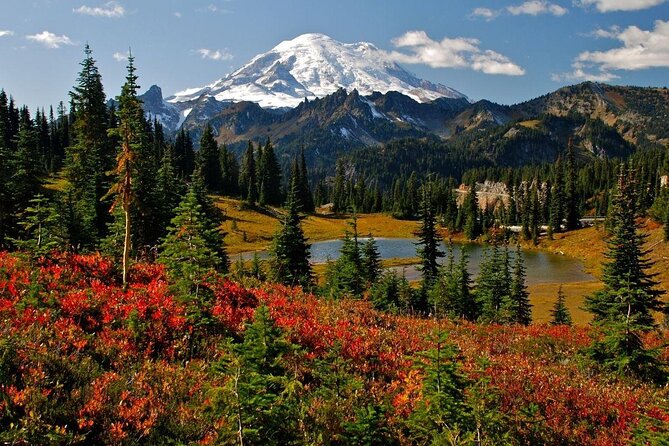 Ultimate Mount Rainier National Park Self-Guided Driving Tour - Key things to know before you press play