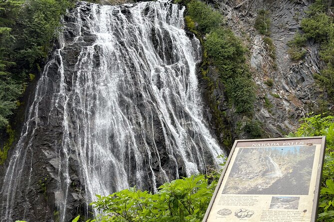 Ultimate Mount Rainier National Park Self-Guided Driving Tour - Waterfalls and creek crossings: Carter Falls, Comet Falls, Christine Falls, and Ricksecker Point