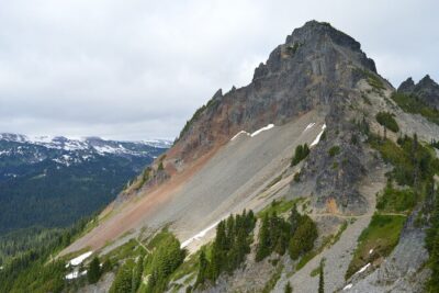 Ultimate Mount Rainier National Park Self-Guided Driving Tour - Nisqually Entrance to Longmire Museum: the forest start that teaches fast