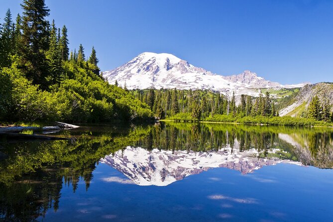Ultimate Mount Rainier National Park Self-Guided Driving Tour - Frog Heaven wetlands, Tatoosh peaks, and Narada Falls short walk