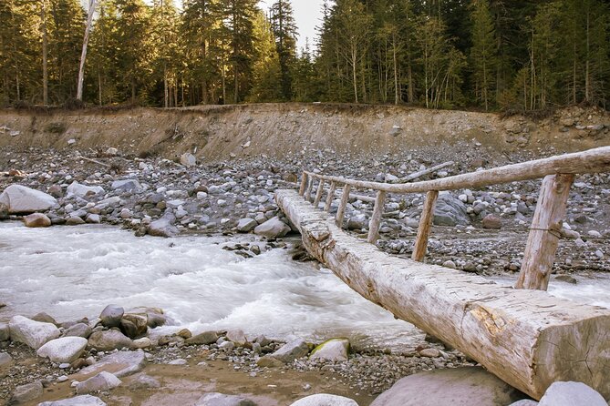 Ultimate Mount Rainier National Park Self-Guided Driving Tour - Pick your trail: Snow Lake, Box Canyon, Wonderland Trail, and Backbone Ridge