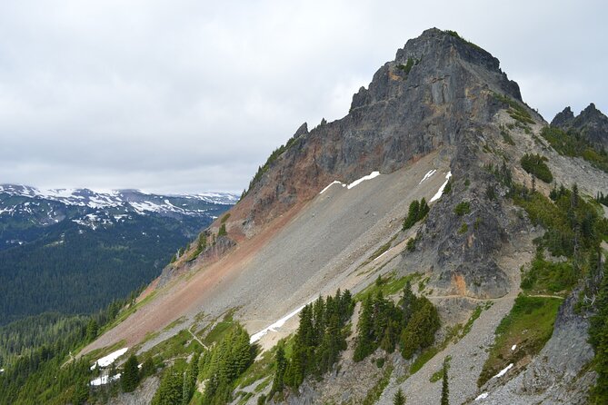 Ultimate Mount Rainier National Park Self-Guided Driving Tour - Nisqually Entrance to Longmire Museum: the forest start that teaches fast