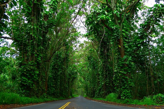 Ultimate Self-Guided Audio Driving Tour of Kauai (Na Pali, Waimea), Hawaii - How long it takes: 35+ miles, 2–3 hours of audio, and time for photos