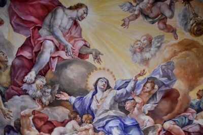 University of Wrocław: Audio Guide & Admission - Wrocław University Museum: Aula Leopoldina and Imperial Staircase