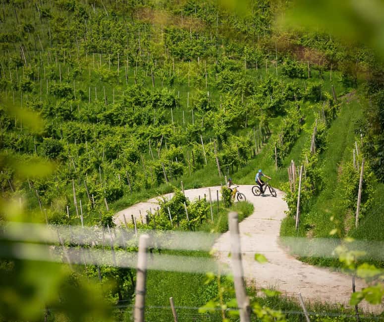 Valdobbiadene: self-guided e-bike tour in the Prosecco Hills - Why Valdobbiadene Prosecco Hills Feel Different on an E-Bike