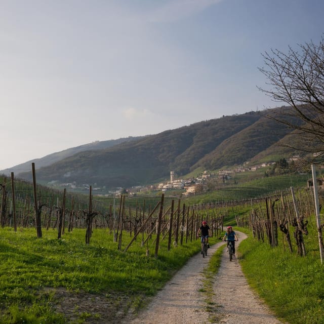 Valdobbiadene: self-guided e-bike tour in the Prosecco Hills - Support During a Self-Guided Ride: The Human Safety Net
