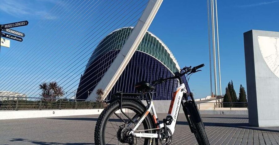Valencia: The Albufera Lake Self-Guided E-Bike Tour - Key highlights worth planning around