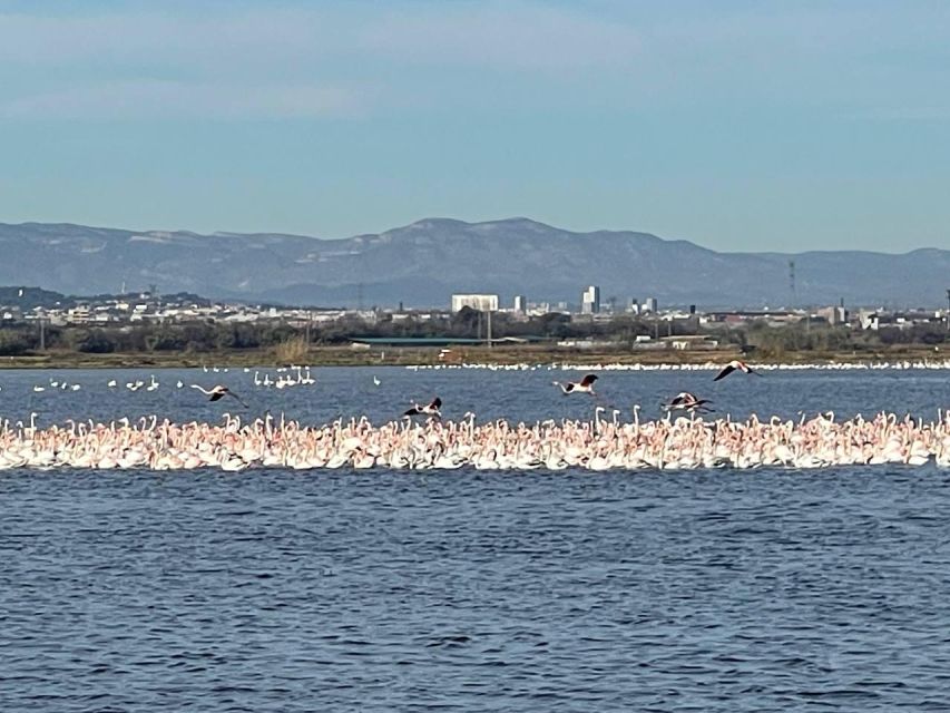 Valencia: The Albufera Lake Self-Guided E-Bike Tour - Ruzafa to Turia Gardens: an easy start that sets the tone