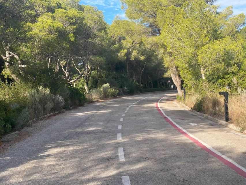 Valencia: The Albufera Lake Self-Guided E-Bike Tour - Albufera Lake by bike: UNESCO scenery, flat paths, and birdwatching chances