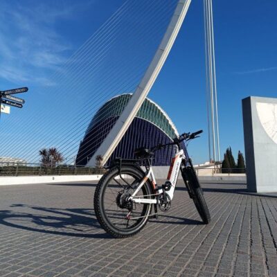 Valencia: The Albufera Lake Self-Guided E-Bike Tour - City of Arts and Sciences: sci-fi Valencia without the stress