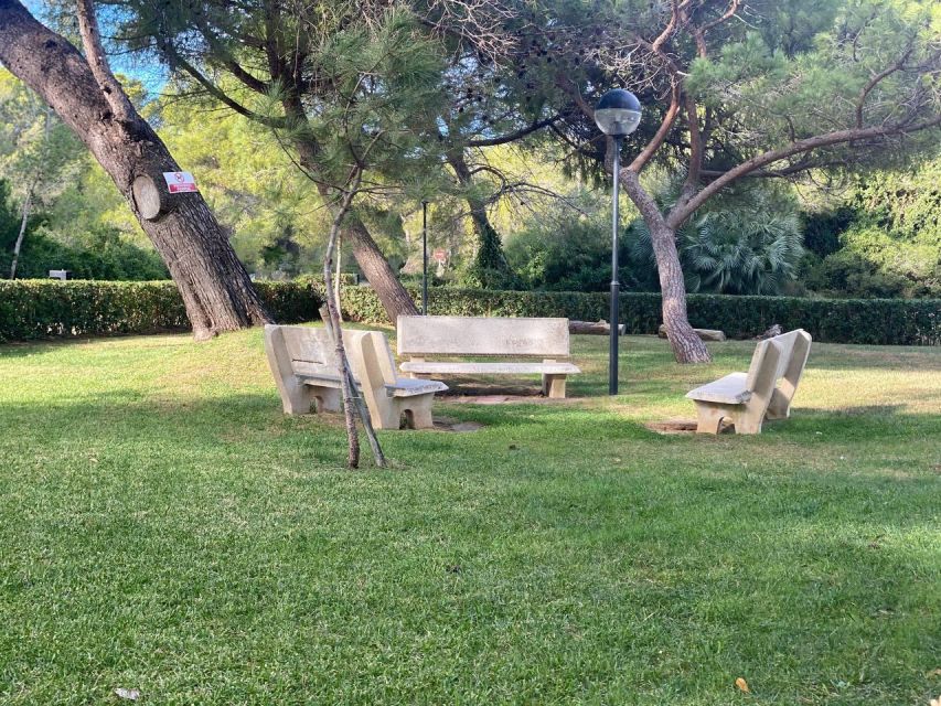 Valencia: The Albufera Lake Self-Guided E-Bike Tour - Should you book the Valencia + Albufera e-bike day