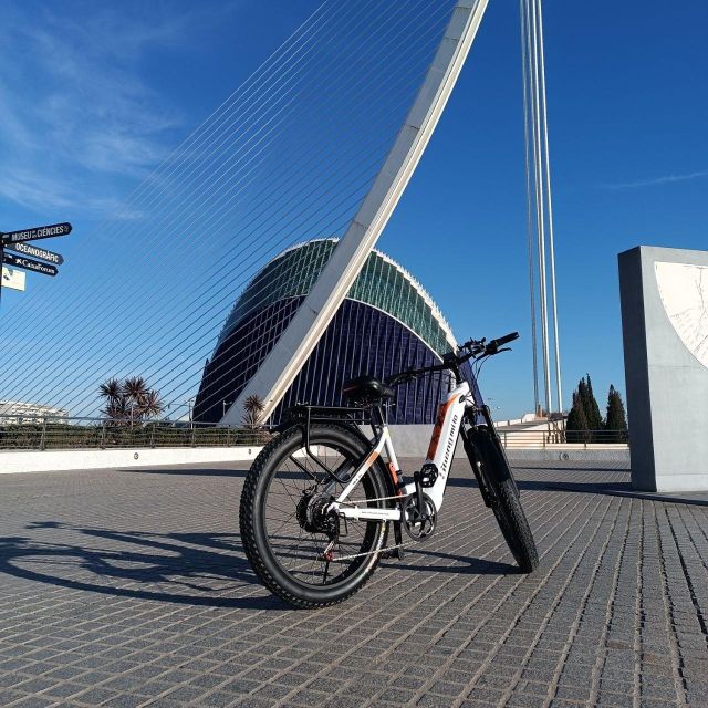 Valencia: The Albufera Lake Self-Guided E-Bike Tour - City of Arts and Sciences: sci-fi Valencia without the stress