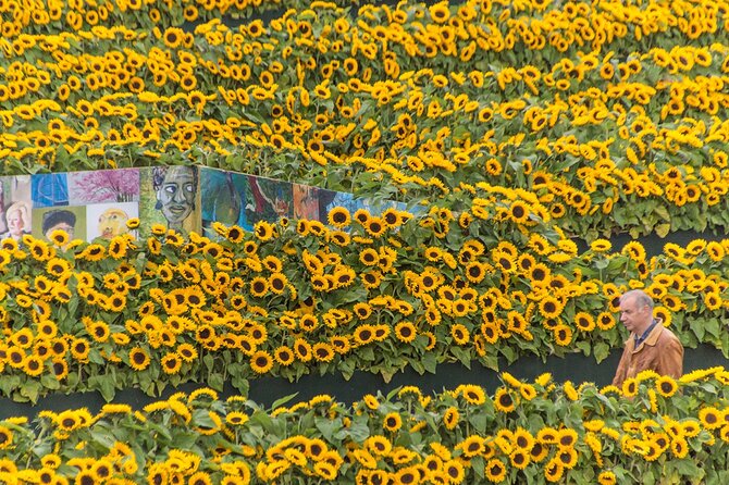 Van Gogh Museum Skip the Queue with Audio Guide - Should you book this Van Gogh Museum experience?