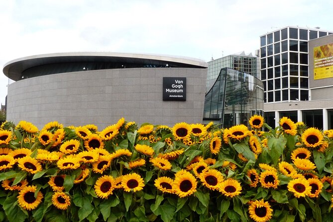 Van Gogh Museum Ticket with Audio Guide and Unlimited Access Time - What You’ll See: Van Gogh Masterpieces Plus His Influences