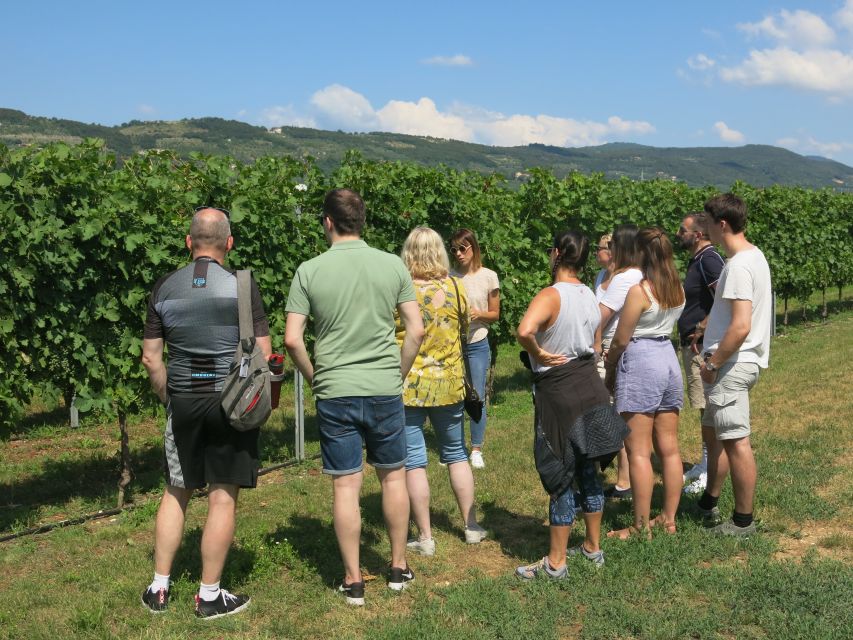 Verona: Valpolicella Wine Self-Guided E-Bike Tour & Tastings - Lunch and small-town breaks without wrecking your schedule