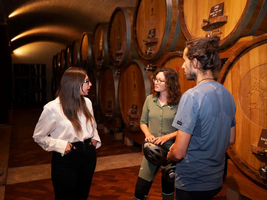 Verona: Valpolicella Wine Self-Guided E-Bike Tour & Tastings - Gear that actually helps: shoes, phone battery, and carrying wine